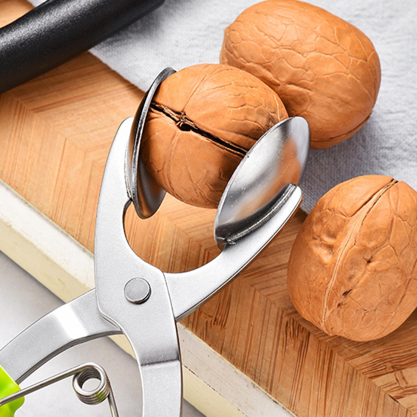 Stainless Chestnut Machine Kit - مراجعة Healthy Kitchen Gadgets وسعره