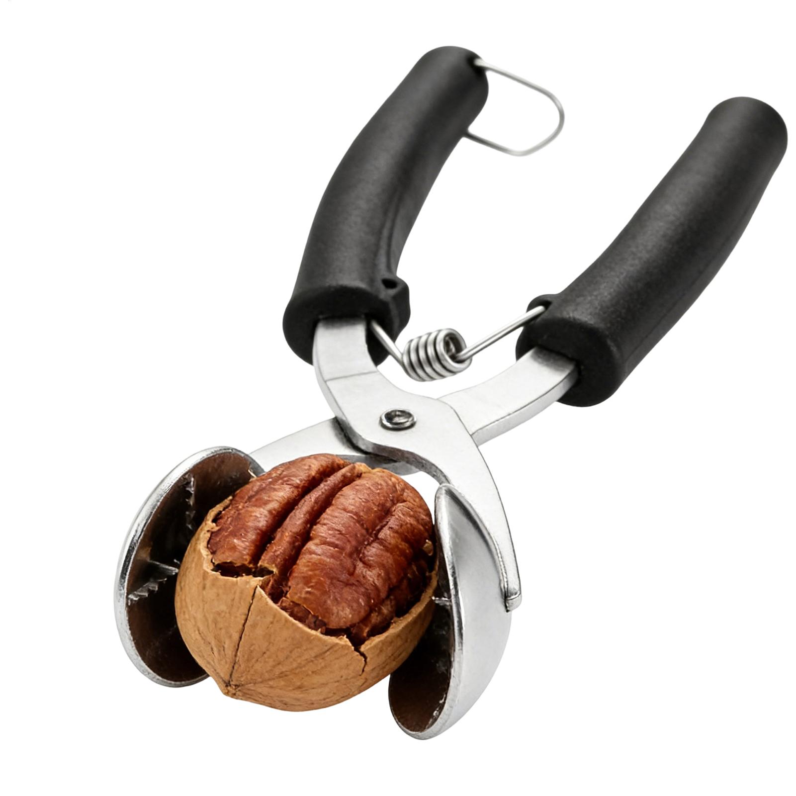 Stainless Chestnut Machine Kit - مراجعة Healthy Kitchen Gadgets وسعره